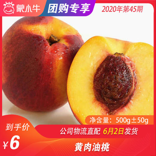 【水果团购】黄肉油桃500g±50g 商品图0