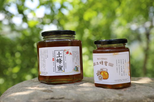 陇南西和土蜂蜜 李叔的蜂蜜 一年只割一次 纯天然无添加的好蜂蜜 商品图5