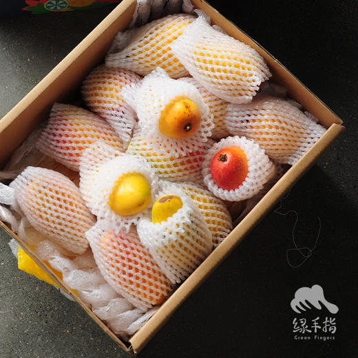 生态芒果 | 合作生产 *Eco- mango | Coproduction 商品图7