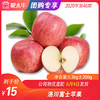 【水果团购】洛川富士苹果1.5KG±200g 商品缩略图0