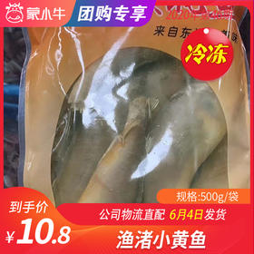 【冻品团购】渔渚小黄鱼 500g/袋