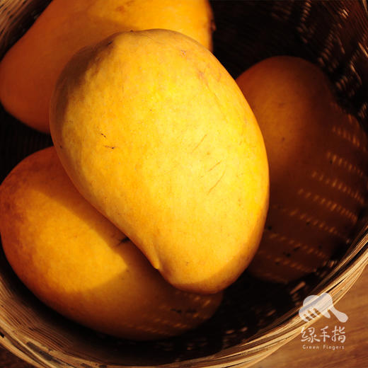 生态芒果 | 合作生产 *Eco- mango | Coproduction 商品图4