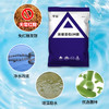华畜em菌水产养殖原液 超浓缩粉枯草芽孢杆菌 鱼药鱼虾改底调肥水 商品缩略图3