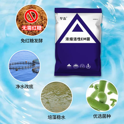 华畜em菌水产养殖原液 超浓缩粉枯草芽孢杆菌 鱼药鱼虾改底调肥水 商品图3