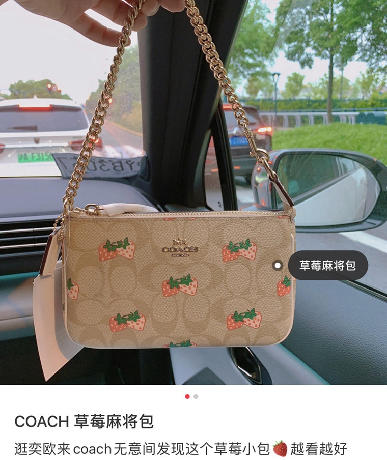 14360coach蔻驰草莓麻将包