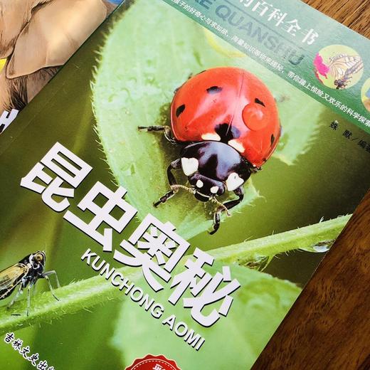 写给儿童的百科全书 全6册 彩图注音版 动物世界大百科 6-12岁 少儿图书科普类 鸟类王国周岁海底 恐龙书海洋植物帝国 商品图7