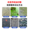 华畜em菌水产养殖原液 超浓缩粉枯草芽孢杆菌 鱼药鱼虾改底调肥水 商品缩略图4