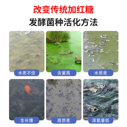 华畜em菌水产养殖原液 超浓缩粉枯草芽孢杆菌 鱼药鱼虾改底调肥水 商品图4