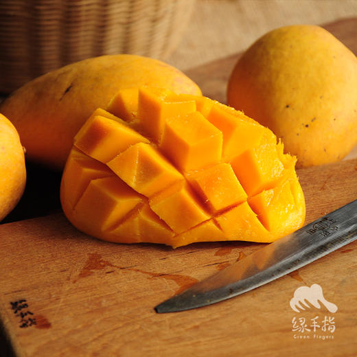 生态芒果 | 合作生产 *Eco- mango | Coproduction 商品图2