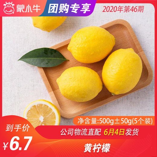 【水果团购】黄柠檬 500g±50g（5个装） 商品图0