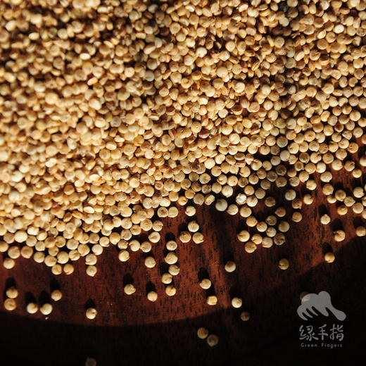 有机藜麦 | 合作生产 *Organic quinoa membranaceus | Coproduction 商品图1