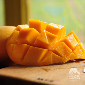 生态芒果 | 合作生产 *Eco- mango | Coproduction