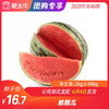 【水果团购】麒麟瓜3KG±400g 商品缩略图0