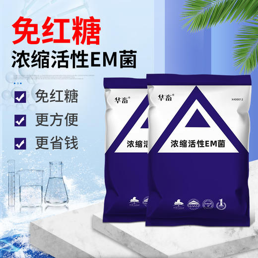 华畜em菌水产养殖原液 超浓缩粉枯草芽孢杆菌 鱼药鱼虾改底调肥水 商品图1