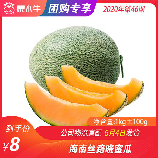 【水果团购】海南丝路晓蜜瓜1KG±100g 商品图0