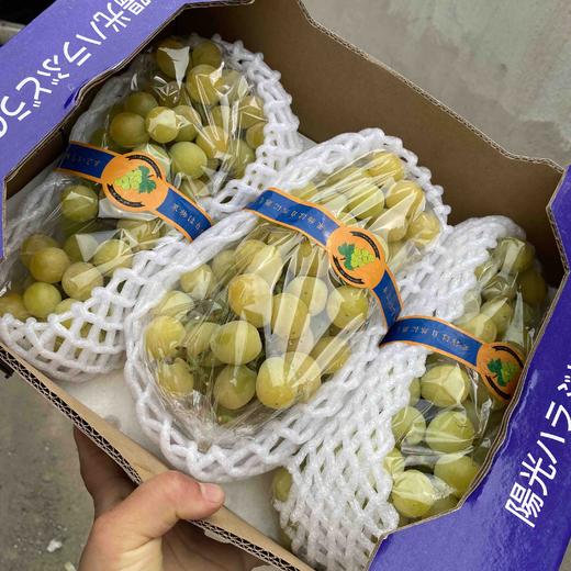 特价款晴王葡萄 商品图2