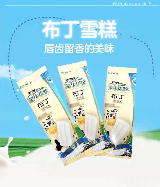 蒙牛小布丁雪糕10支2020年新货 商品图0