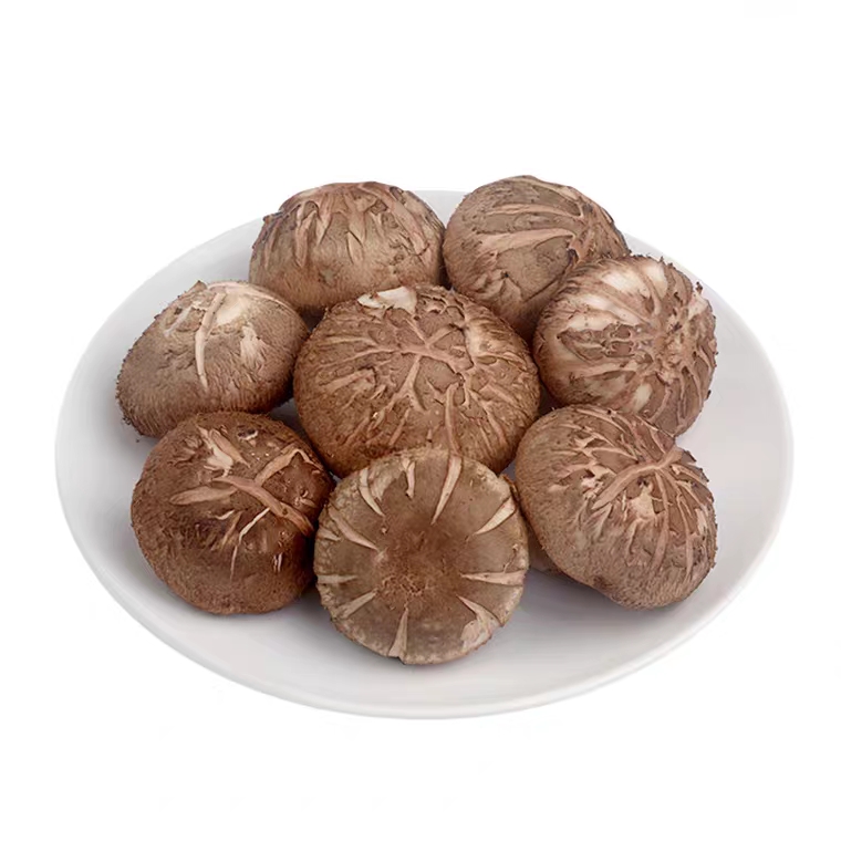 景宁特色鲜香菇300g