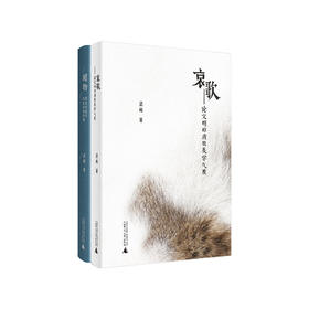 哀歌：论文明的消极美学气质+睹物：历史的展示及其层级消费