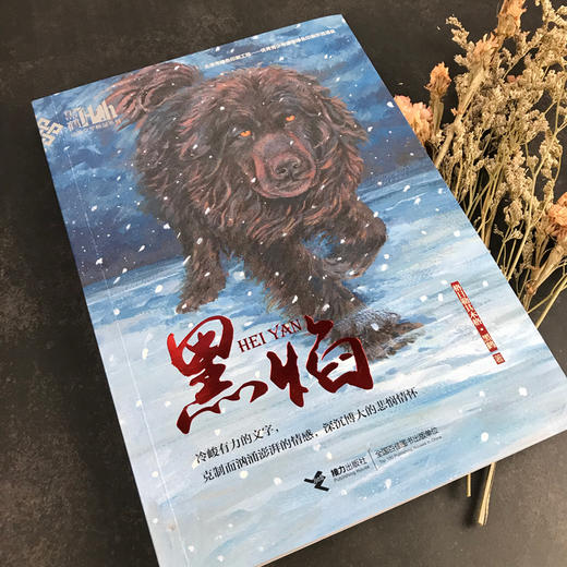 黑鹤动物文学精品系列·黑焰（插图版） 格日勒其木格·黑鹤长篇小说 儿童课外读物 商品图3