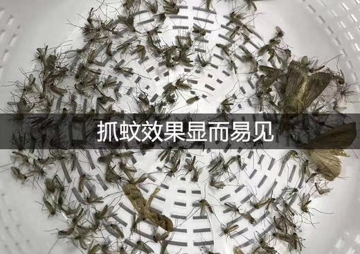 赛格吸入式灭蚊器1盒 商品图1