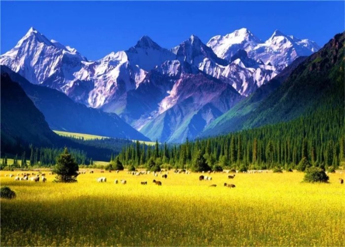 精华景点 等你来撩
