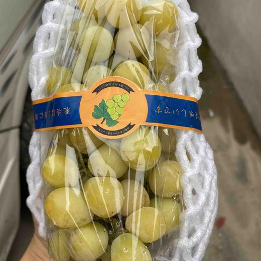 特价款晴王葡萄 商品图1
