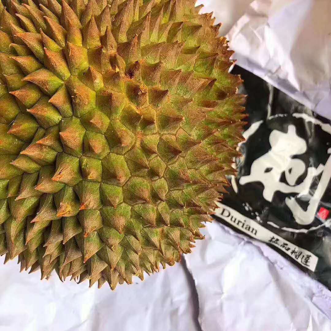 马来西亚d13金包榴莲液氮带壳口感几乎和大黑刺一样