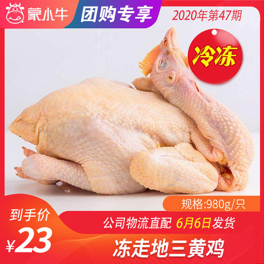 【团购】走地三黄鸡	980g/只 商品图0
