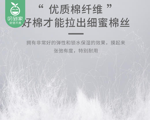 尔木萄加厚纯棉洗脸巾/1卷（70片，20*20cm） 商品图5