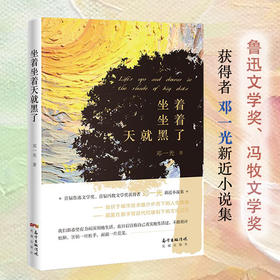 坐着坐着天就黑了 邓一光 探寻城市技术外壳下的人生隐喻