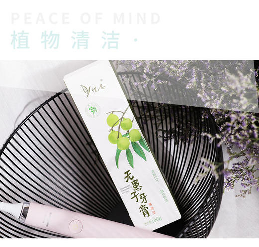 特惠【悦意】无患子牙膏 薄荷型100g*2支  植物清洁护口腔 清新口气深圳直发 商品图0