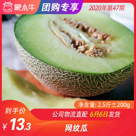 【水果团购】网纹瓜 2.5斤±200g