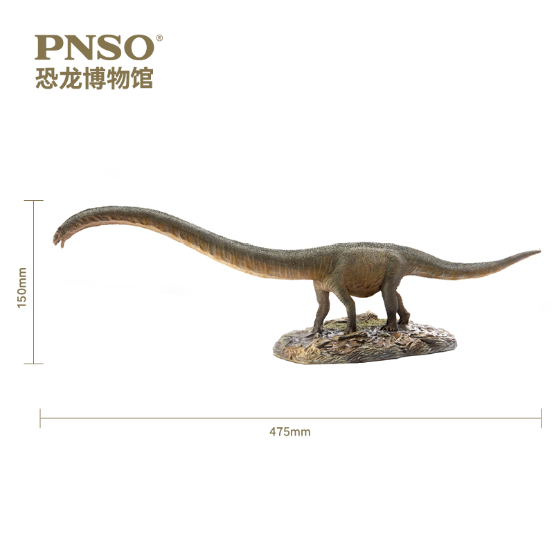 pnso恐龙博物馆三角龙多利/马门溪龙尔玛1:35科学艺术