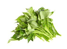 【云梦蔬菜】红薯叶（苕尖）（约500g）