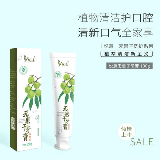 【悦意】无患子牙膏 薄荷型100g 植物清洁护口腔 清新口气全家享 商品图1
