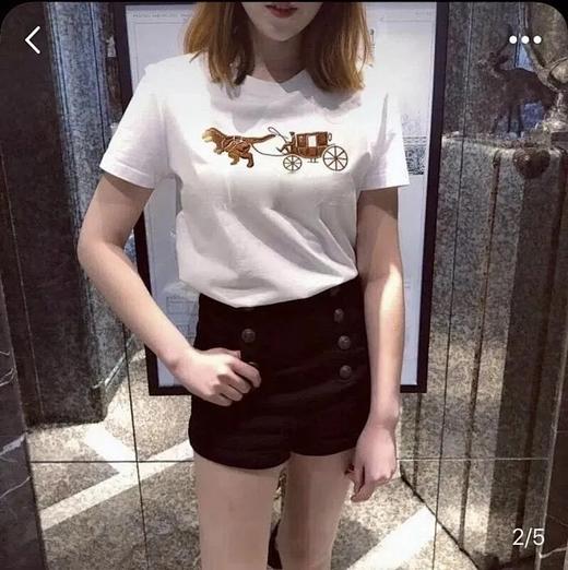 恐龙马车万针刺绣 黑白经典情侣款t恤 商品图2