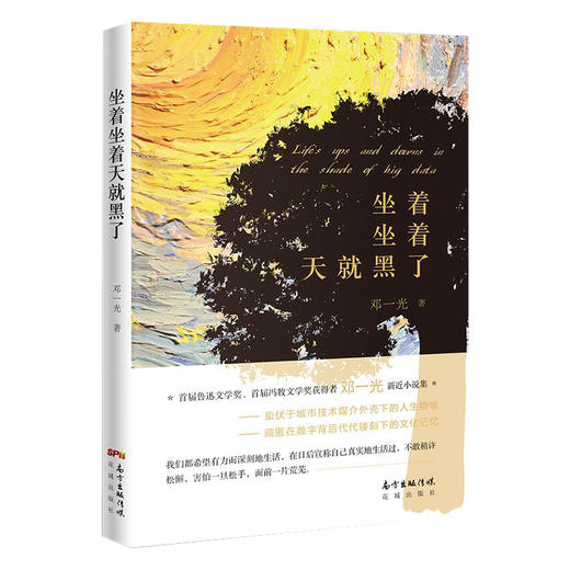 坐着坐着天就黑了 邓一光 探寻城市技术外壳下的人生隐喻 商品图1