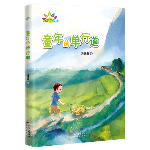 童年的单行道 快乐哥哥系列作品 半亩方塘点亮了小野蛋的生活,一条悬渠改变了草乡村人的命运 儿童文学作家刁德康著作 商品图0