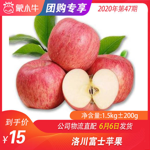 【水果团购】洛川富士苹果1.5KG±200g 商品图0
