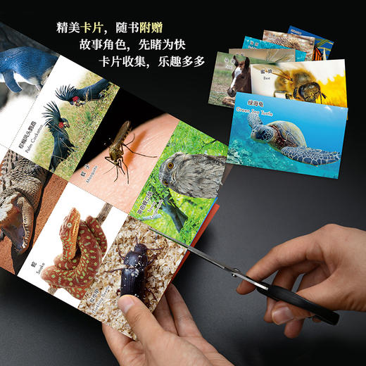 《动物成长故事第十辑》（外研社双语故事屋） 商品图7