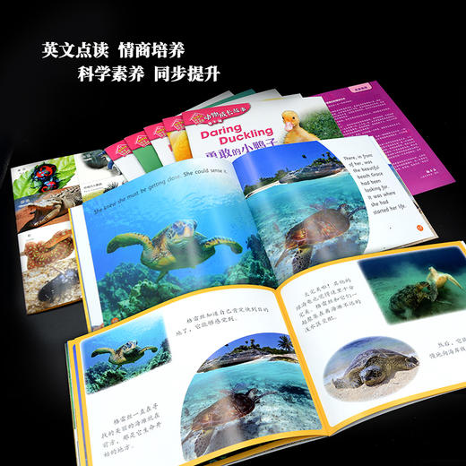 《动物成长故事第十辑》（外研社双语故事屋） 商品图5