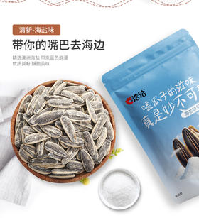 洽洽品牌500g海盐味瓜子