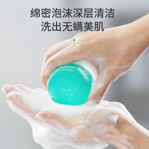 清洁养肤二合一的青蒿除螨皂 商品图0