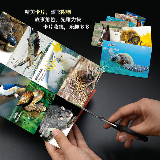 《动物成长故事第四辑》（外研社双语故事屋） 商品图7