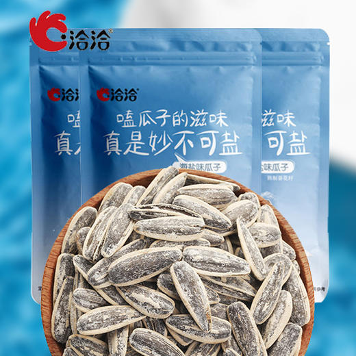 洽洽品牌500g海盐味瓜子 商品图2