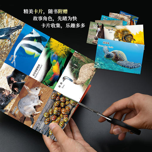 《动物成长故事第八辑》（外研社双语故事屋系列） 商品图7