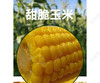 优质甜脆玉米1份/1000g 商品缩略图0
