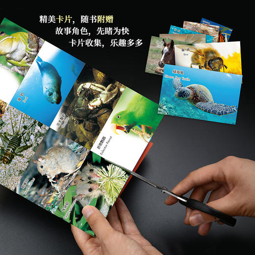 《动物成长故事第五辑》（外研社双语故事屋） 商品图7