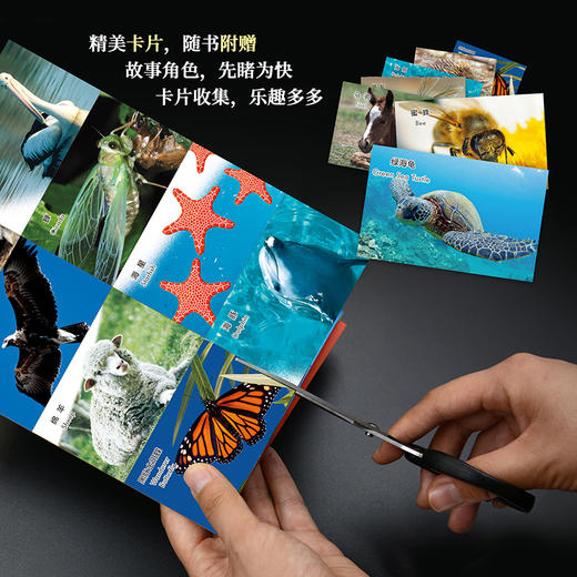 《动物成长故事第二辑》（外研社双语故事屋） 商品图7